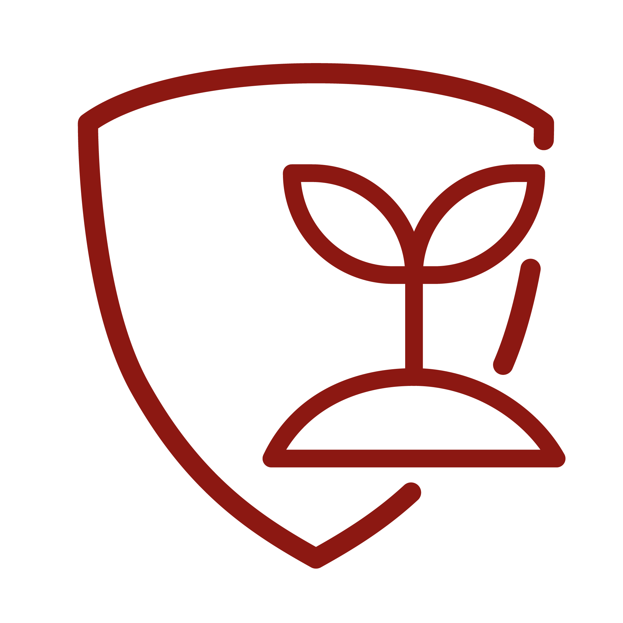 Icono 2024 Covering Tavola Disegno 1 Copia 3